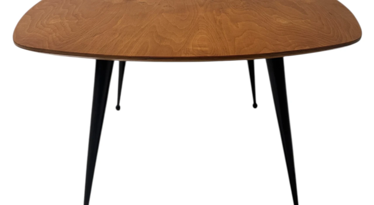 Mid-Century Modern TB16 Coffee Table by Cees Braakman for Pastoe, 1953